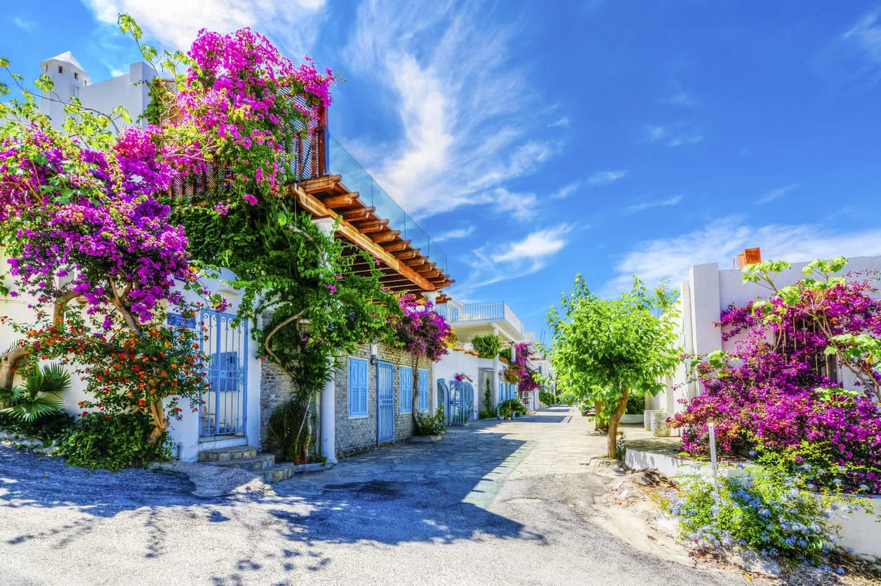 Bodrum